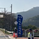 정읍 구절초축제 후기 개화현황 먹거리 애견동반 김영철 토크쇼