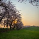 대건목장 이미지