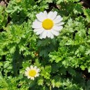 인디언키친 [제주/애월]봄이 흐르는 곳, '<b>인디언</b> <b>키친</b>'