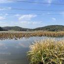 대요낚시터 이미지