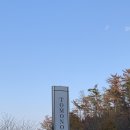 UR(포항시)-[동해안로]-상-12 | [경주호텔추천] 토모노야호텔&amp;료칸 경주 디럭스 더블룸 숙박후기