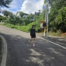 지리산밀드플레 이미지