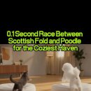 편안한쉼터 이미지