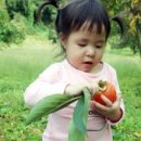 달콤농원 이미지