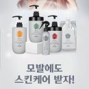 알씨링크 이미지