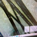 전주 두피관리 전문 채움제이 모발생장술 후기