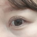 윤프린팅 | 송파역 속눈썹펌 블랙틴팅 윤샘브로우 내돈내산 후기