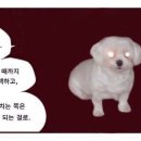 남도휴양촌 이미지