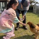 판판포포 이미지