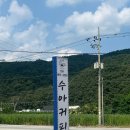 수아 | 충주 카페, 수아커피 다녀온 후기