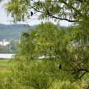 월롱초등학교 이미지