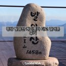 대왕카프라자 | 평창 발왕산 케이블카 타고 걸어본 후기
