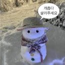 화이트전자 이미지