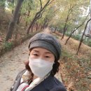 인셀덤줄리