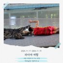 파타야 자유여행 코스/ 방콕에서 파타야 가는 방법 / 악어농장/ 알카자쇼