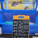 당진시 당진시장서길 | 당진 회 맛집｜당진어시장 <회나루> | 상생페이백 온누리사용처