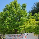 공연이 있는 날 | 오산시 공연이 있는 날