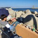 일광파전 이미지