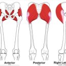 바디테일러 PT 이미지