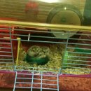 옹기종기 이미지