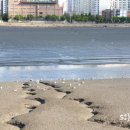 해오름광장 꽃게동상 이미지