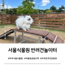 평화의공원 주차장입구 횡단보도 맞은편 | 마곡 서울식물원 어울림공원 반려견놀이터 방문후기(주차장 확인)