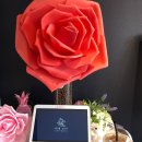 카페호와 이미지