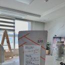 [우롱차티백] 커피 대용으로 마실 수 있는 파람웰니스티 사자오룡 티 후기