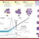 김포동물병원 이미지