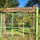 인제초 군량분교장 이미지