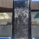 로뎀태권도 이미지