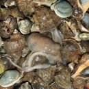 둘레길펜션 이미지