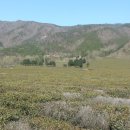 김말례 농장 이미지