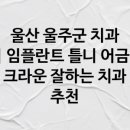 뉴욕플란트치과의원 | 울산 울주군 치과, 뉴욕플란트치과의원 소개
