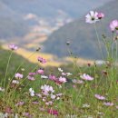 백곡면행정복지센터 이미지