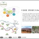 한라산둘레길 천아숲길 이미지