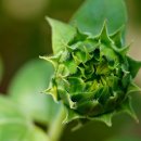 경창홈마트 이미지