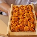 겐스시
