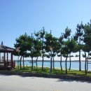 보라펜션민박 이미지