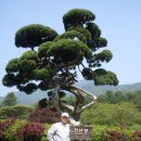 이도원 이미지
