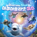 신라스테이 여수 | 신라스테이 여수 후기 오션뷰 수영장 솔직 리뷰
