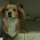 대학동물병원 이미지