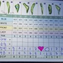 서진골프연습장 이미지