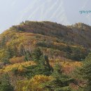 2007-주019 이미지