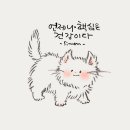 초록바다 이미지