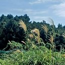 감산2리 이미지