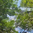 용추매점 이미지