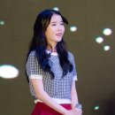 콘서트7080미사리 이미지