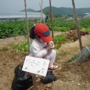 은지농장 이미지