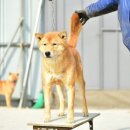 달아실 농원 이미지